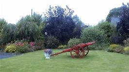 The rear garden at our Patrickswell B&B as seen from our room